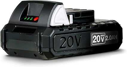 G 20V DC 2Ah 36 Watt Hour Lithium Ion Rechargeable Battery Replacement (Use Only for Snow Thrower, Electrostatic Handheld ULV Fogger Sprayer and Select Outdoor Garden Tools - All Not Included)