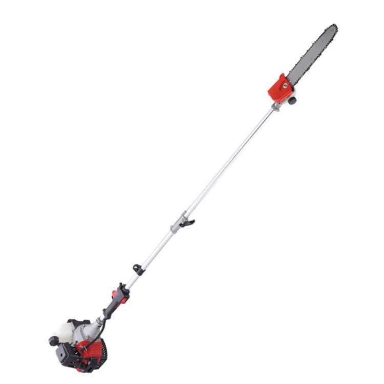 52CC 2-Stroke Engine Petrol Pole Chainsaw Chain Saw Brush Cutter Brushcutter Tree